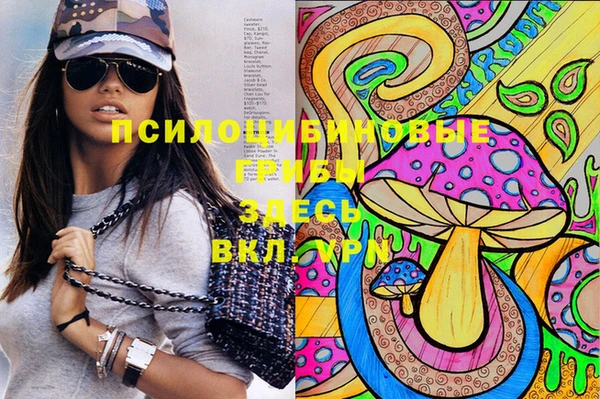 прущие крисы Армянск