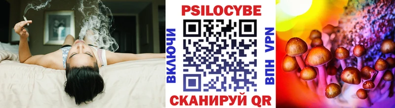 Псилоцибиновые грибы Magic Shrooms  omg ССЫЛКА  Новый Оскол 